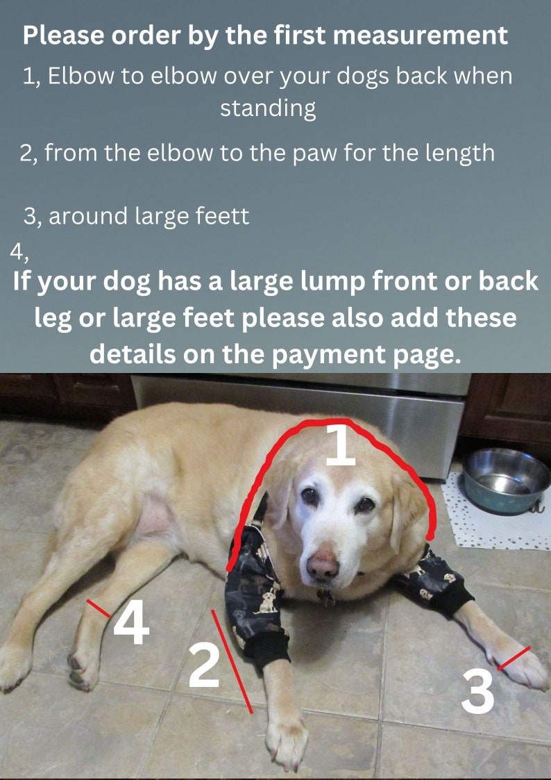 K&ouml;nnte beinhalten: Ein hellfarbiger Hund tr&auml;gt schwarze &Auml;rmel mit einem Hunde-Druckmuster. Das Bild enth&auml;lt den folgenden Text: Please order by the first measurement, 1, Elbow to elbow over your dogs back when standing, 2, from the elbow to the paw for the length, 3, around large feett, 4, If your dog has a large lump front or back leg or large feet please also add these details on the payment page.