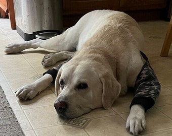 Dog Elbow Protection, Padded trousers/pants. For Callus/Hygroma/Arthritis/Pressure Sores/ Recommended by Vets.