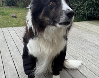 Protetor de cotovelo para cães: alívio de higroma, calos e artrite