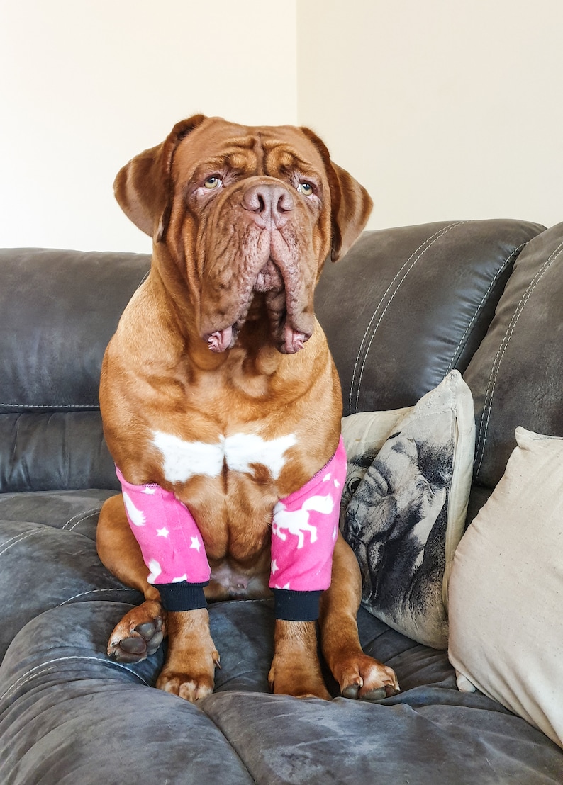 Dog Elbow Protector Hygroma Dog Elbow Pads Large Dog Breeds Etsy