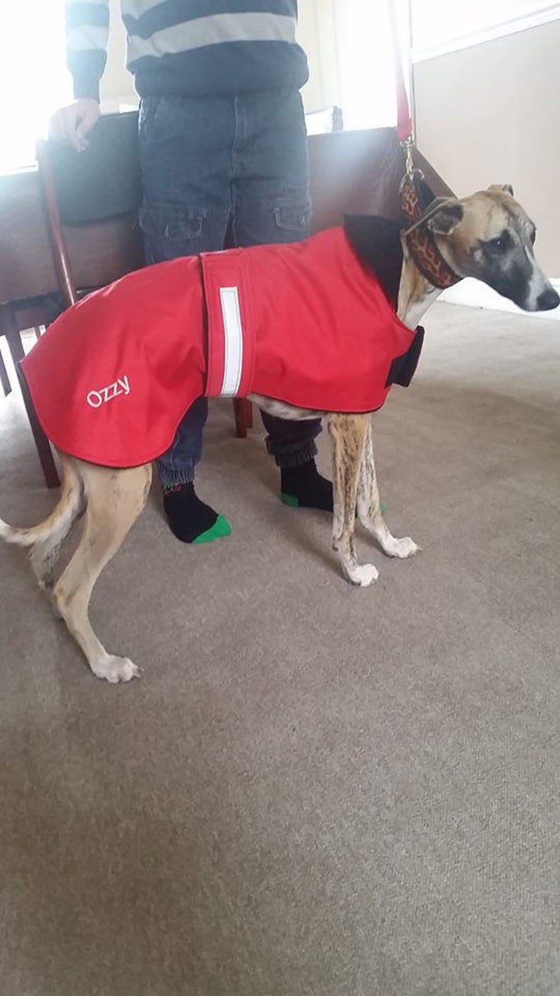 Whippet waterproof dog coat in any colour in sizes Etsy