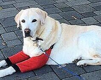 Dog Leg Protector, Arthritis & Pressure Sore and Lick Prevention, fleece.