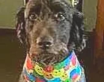Dog  bandana for summer, cotton, many colours and sizes for all breeds