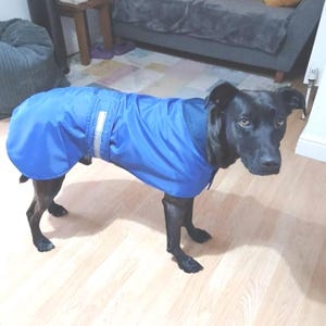 May include: A black dog wearing a bright blue dog coat. The coat features a smooth, water-resistant texture and includes a vertical reflective silver strip positioned along the side panel for visibility. The garment covers the back and torso.
