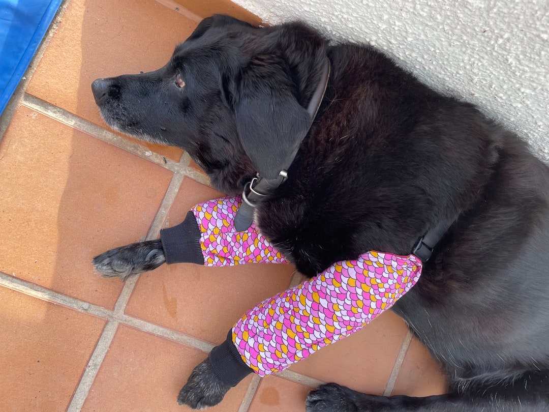 Dog Elbow Protectors Post Op Surgery, Rec by Vets ., Hygroma Dog Elbow