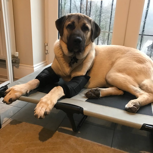 Dog Elbow Protector Etsy