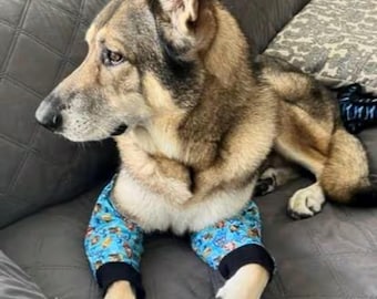 Dog Leg protectors, cushioned support for callus, and hygroma. Vet-recommended treatment, dog leg wrap,Prevent Licking Wound