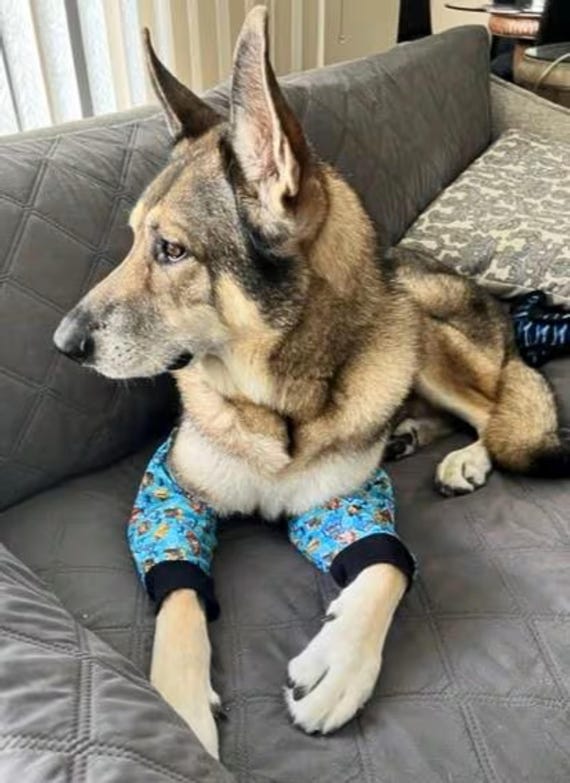 Dog Elbow Protectors for Leg Support, Vet-Recommended Callus Treatment Wrap