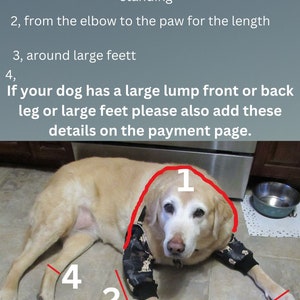 Dog elbow hygroma prevention and treatment, waterproof, in cases of callus, or arthritis, with added padded protection. image 4