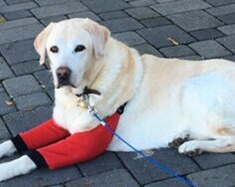 Dog Elbow Protector: Arthritis & Pressure Sore Prevention