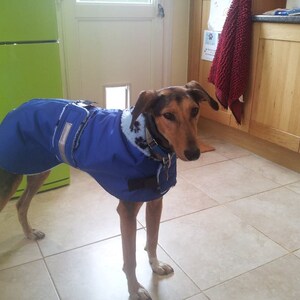 Dog coat waterproof, simulated sheepskin or fleece lining, many colour options and sizes 19 to 28 Blue