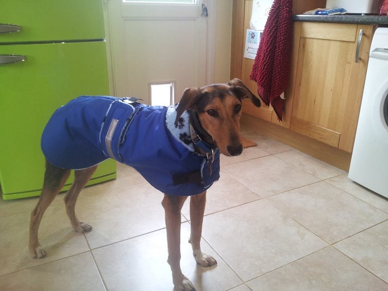 Dog coat waterproof, simulated sheepskin or fleece lining, many colour options and sizes 19 to 28 Blue