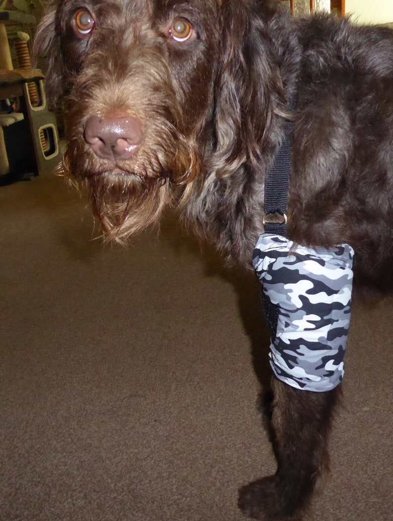 Dog Elbow protector ,Padded with cuff, offers cushioned support and safeguarding for their elbows. image 7