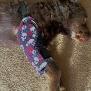 May include: A dog leg brace featuring a dark fabric pattern of white skulls and red roses. The brace is secured around the upper leg with black adjustable straps and buckles, designed to provide support for the canine limb while resting.