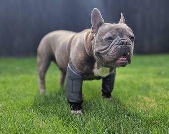 Protetor de cotovelo impermeável para cães: Higroma, calos, artrite. Suporte acolchoado.