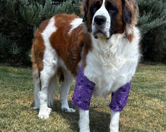 Dog Elbow Protection, Cushioned Cuff Support for Callus, Hygroma Relief pad