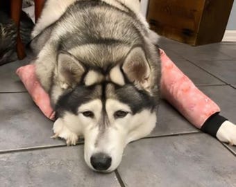 Hunde-Ellbogenschützer, Ärmel, Kallus, Schwellungen, Hygromaschutz