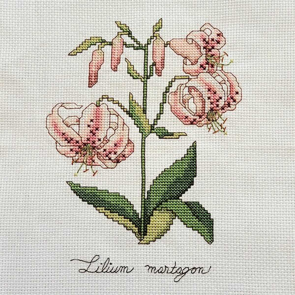 Lilium Martagon Cross Stitch, Completed Finished Cross Stitch