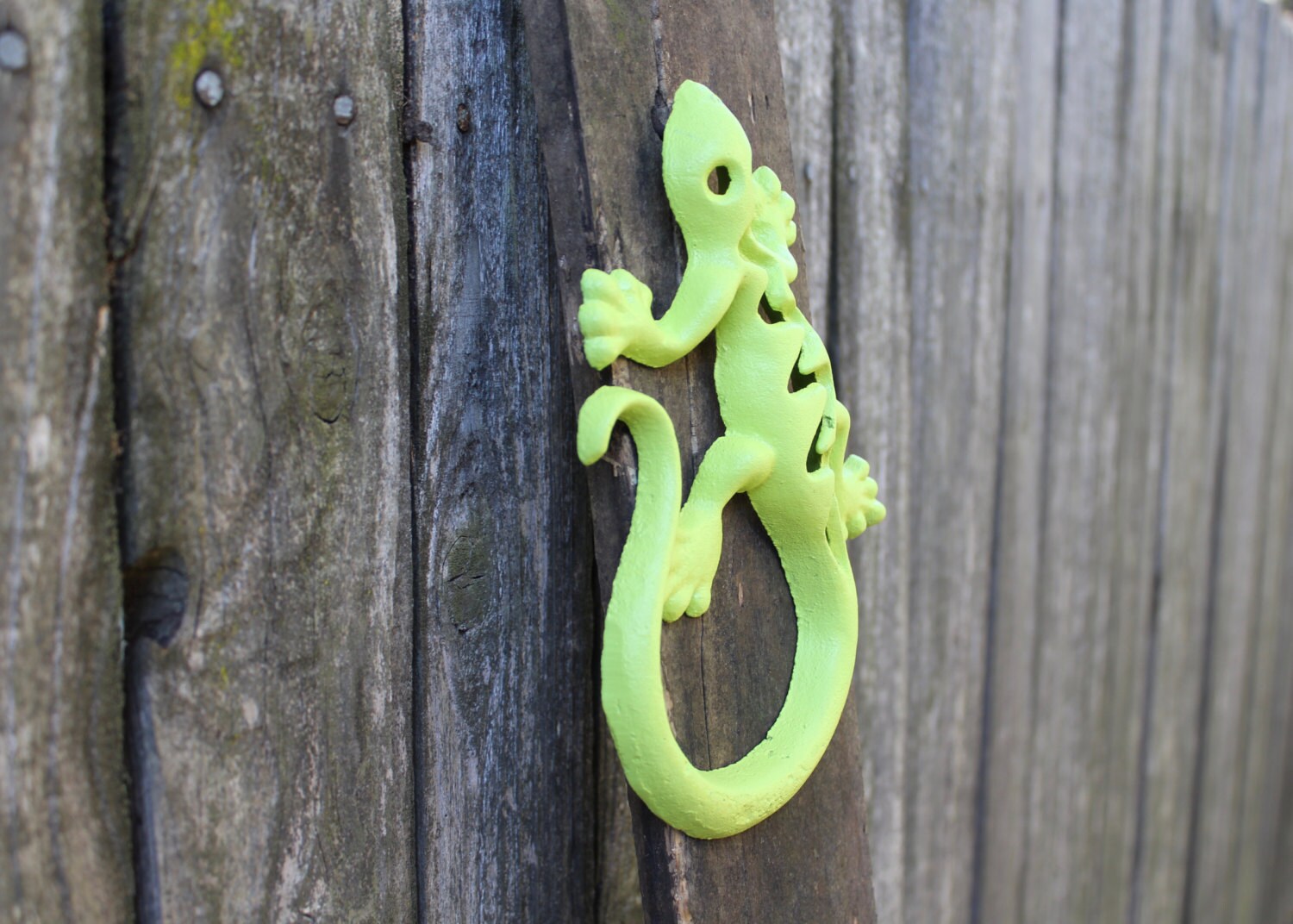 SALECast Iron Gecko/Lizard/Lime Green/Garden Decor/wall Etsy