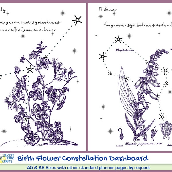 BTS Birth Flower/Constellation Dashboard By Army for Army, happy to be born under the same stars Planner-TN-Bullet Journal-Agenda-Organizer