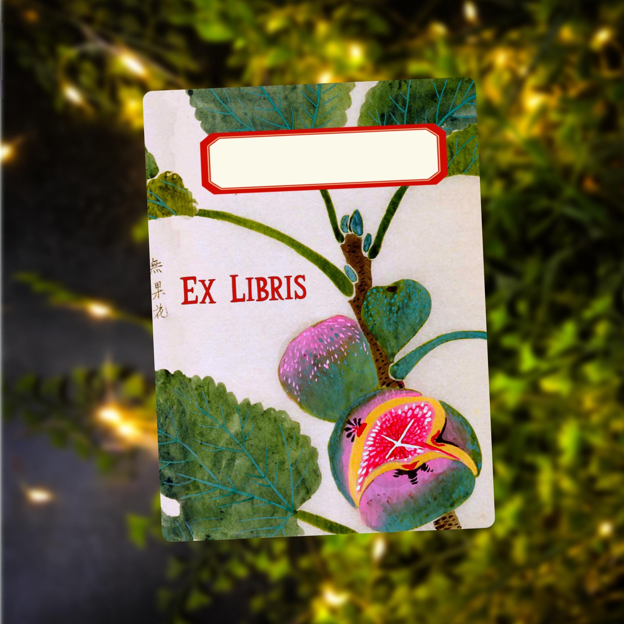 87 海外作品集・冊子【Sustov R. M. of Exlibris】 Japanese Ex Libris - Etsy