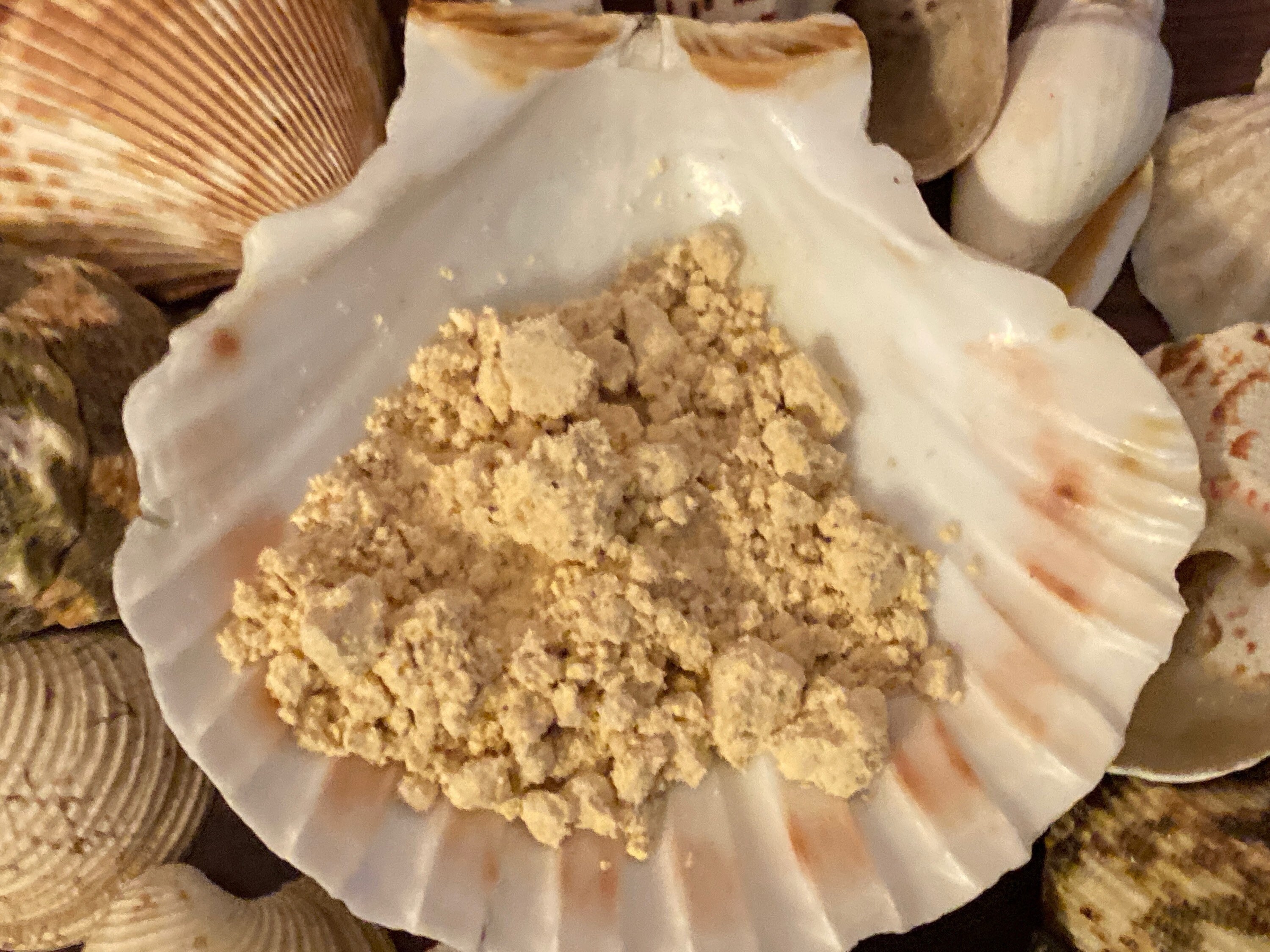 Peanut butter powderhermit crab food Etsy