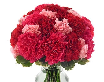 Carnation Fragrance Oil