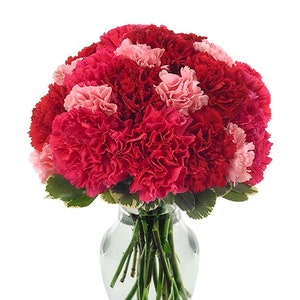 Puede incluir: Un ramo de claveles rosas y rojos arreglados en un jarrón de vidrio transparente.