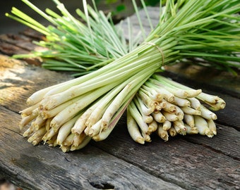 Lemongrass Fragrance Oil