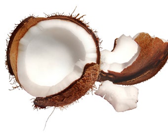 Coconut Fragrance Oil