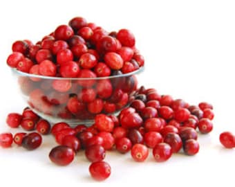 Cranberry Apple Compote Fragrance Oil