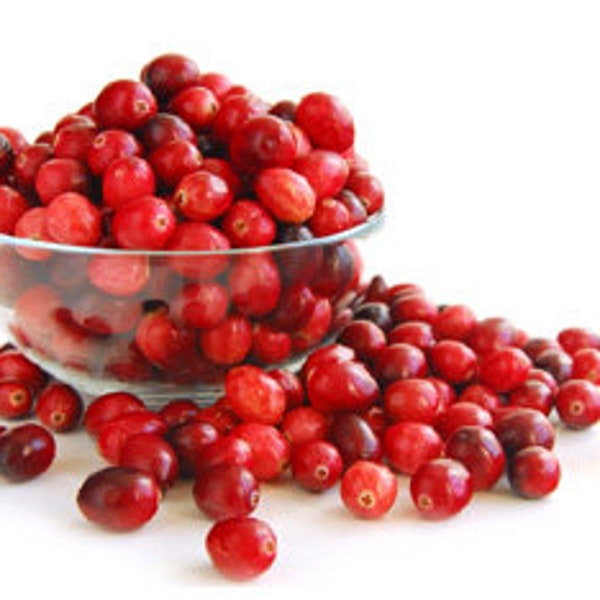 Cranberry Apple Compote Fragrance Oil