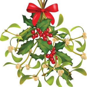 May include: A Christmas mistletoe arrangement featuring green holly leaves, red berries, and white mistletoe berries. A bright red bow is tied at the top, creating a classic festive decoration.