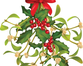 Under the Mistletoe Fragrance Oil