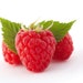 Red Raspberry Flavor/fragrance Oil - Etsy