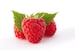 Red Raspberry Flavor/Fragrance Oil 