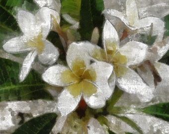 Tea Leaf and Jasmine Fragrance Oil
