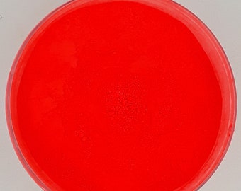 Poppy Fields Fluorescent Neon Matte Pigment-Safe for Face and Body