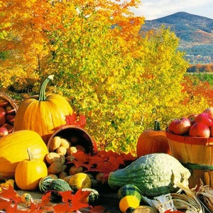 May include: A fall harvest scene with pumpkins, gourds, apples, and autumn foliage. The pumpkins are orange and yellow, the gourds are green and brown, and the apples are red. The foliage is red, orange, and yellow.