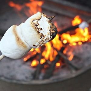 May include: A white marshmallow is being roasted over a campfire on a wooden stick. The marshmallow is starting to brown and has a slightly crispy exterior.