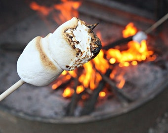 Toasted Marshmallow Fragrance Oil