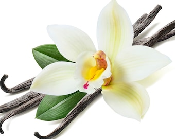 Tahitian Vanilla Fragrance Oil