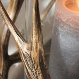 Puede incluir: Un portavelas hecho de astas de ciervo con una vela blanca grande dentro.
