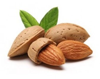 Almond Fragrance Oil