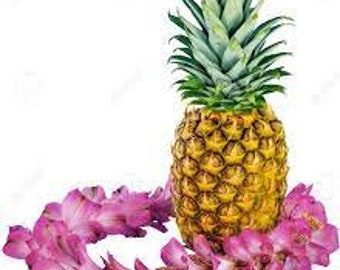 Piña Colada Flavor/Fragrance Oil