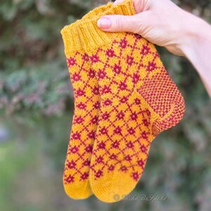 May include: A pair of knitted socks in a hand. The socks are yellow with a repeating pattern of red diamond-shaped flowers. The cuff and heel are a solid red color. The socks are held up against a blurred green background.
