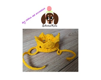 Dog crown  Dog fancy dress