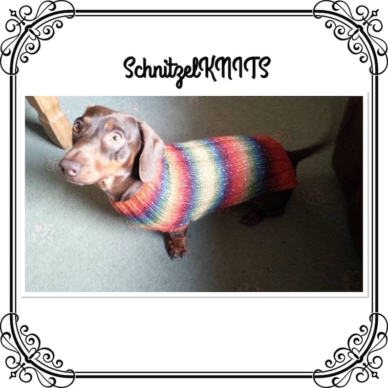 Cozy Knitted Dog Jumper .small Dog Sweater .dachshund Sweater Etsy UK
