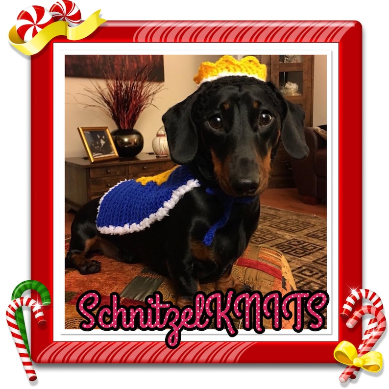 Christmas thanksgiving Prince Charming fancy dress outfit for small dog .cute fancy-dress hat and cape for dachshund Halloween