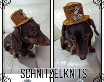 Steam punk dog hat. Small dog hat. Dog clothes. Dog fancy dress